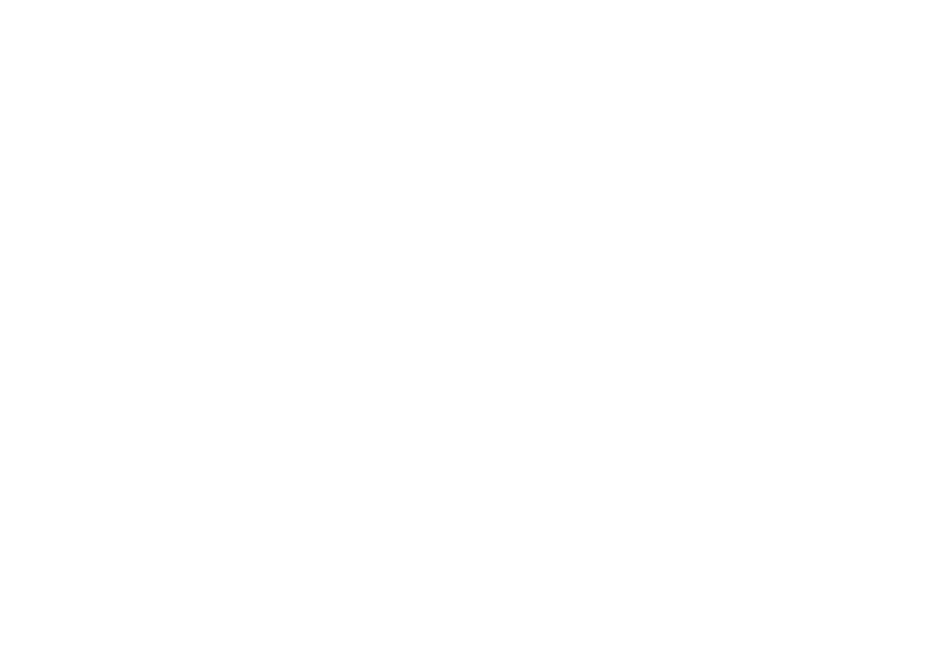 Cameron Logo